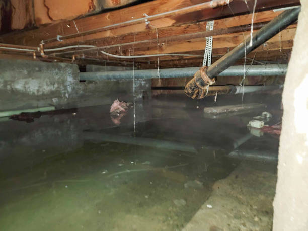 Best Ceiling water damage repair  in Umatilla, OR
