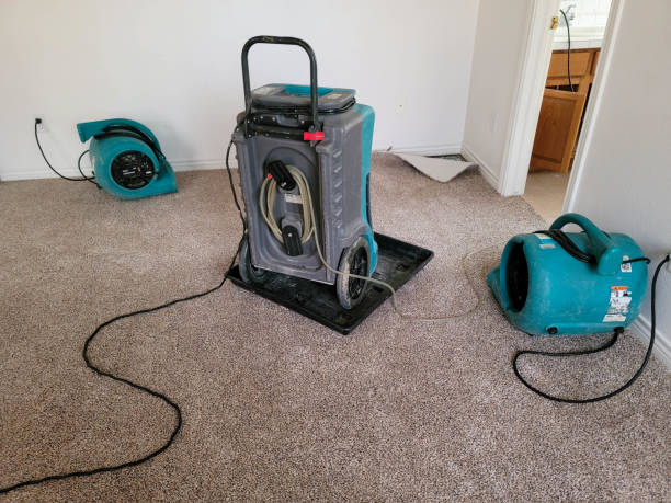 Best Water damage cleanup near me  in Umatilla, OR