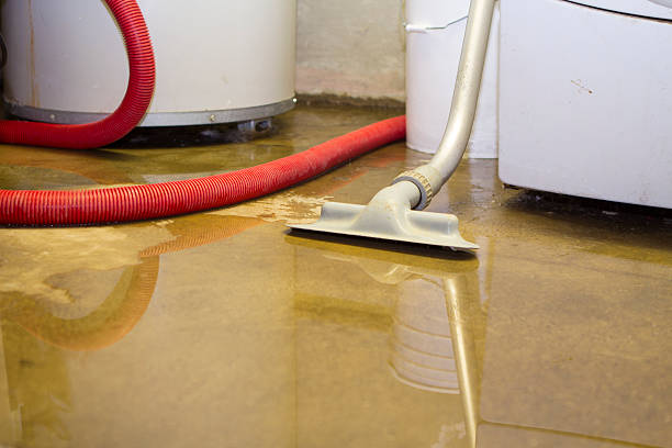 Best Carpet water damage restoration  in Umatilla, OR