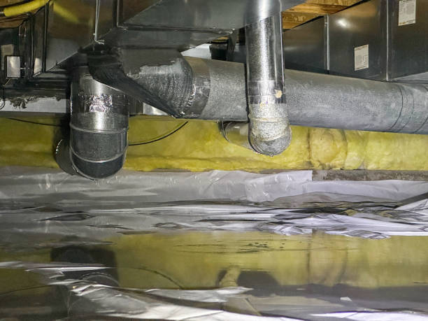 Best Local water damage restoration  in Umatilla, OR