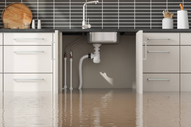 Best Professional water damage repair  in Umatilla, OR